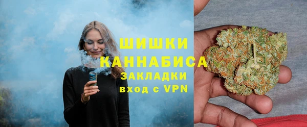 СК Алексин
