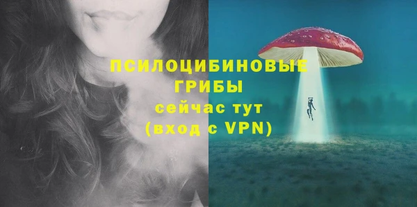 СК Алексин