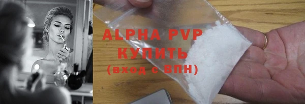 СК Алексин