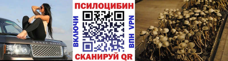 Галлюциногенные грибы GOLDEN TEACHER Мамоново